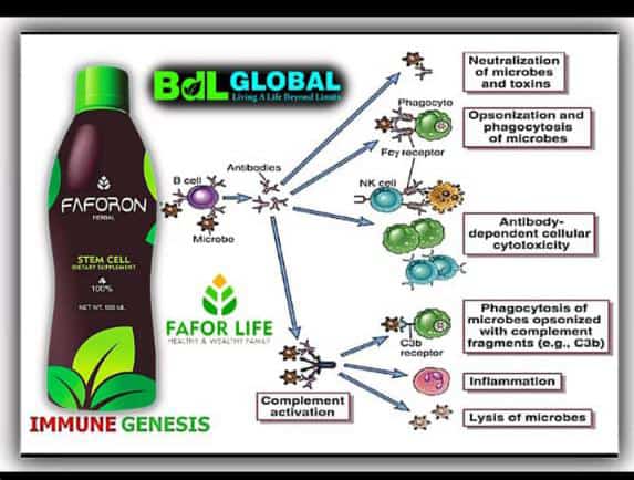 Hot Flashes Relief Combo