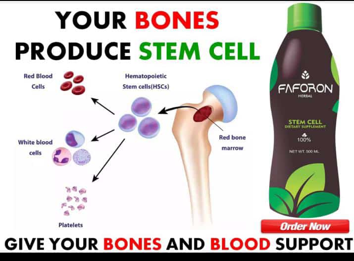 Stomach Ulcer Care Combo