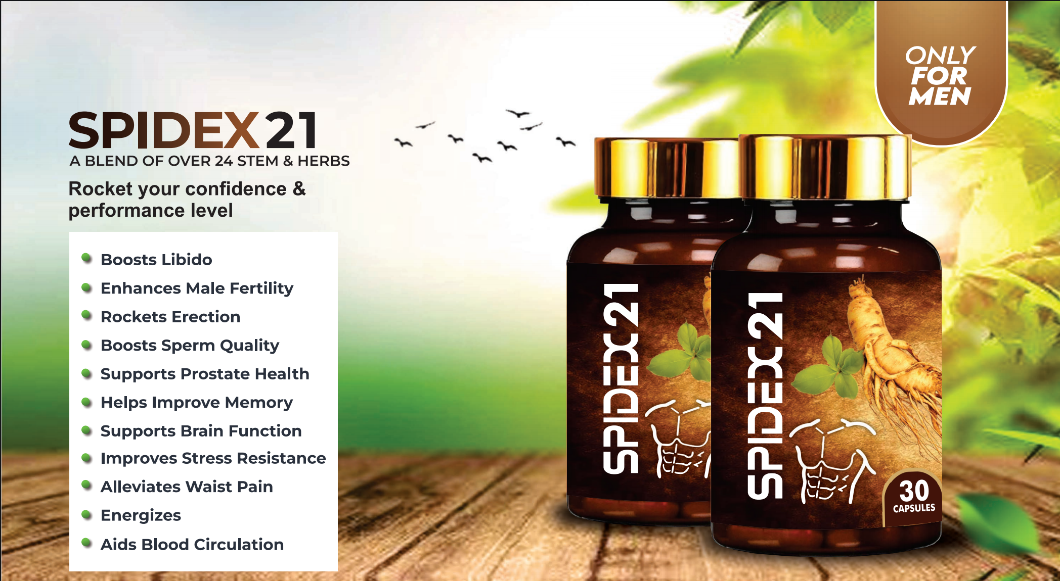 SPIDEX 21 Men Wellness